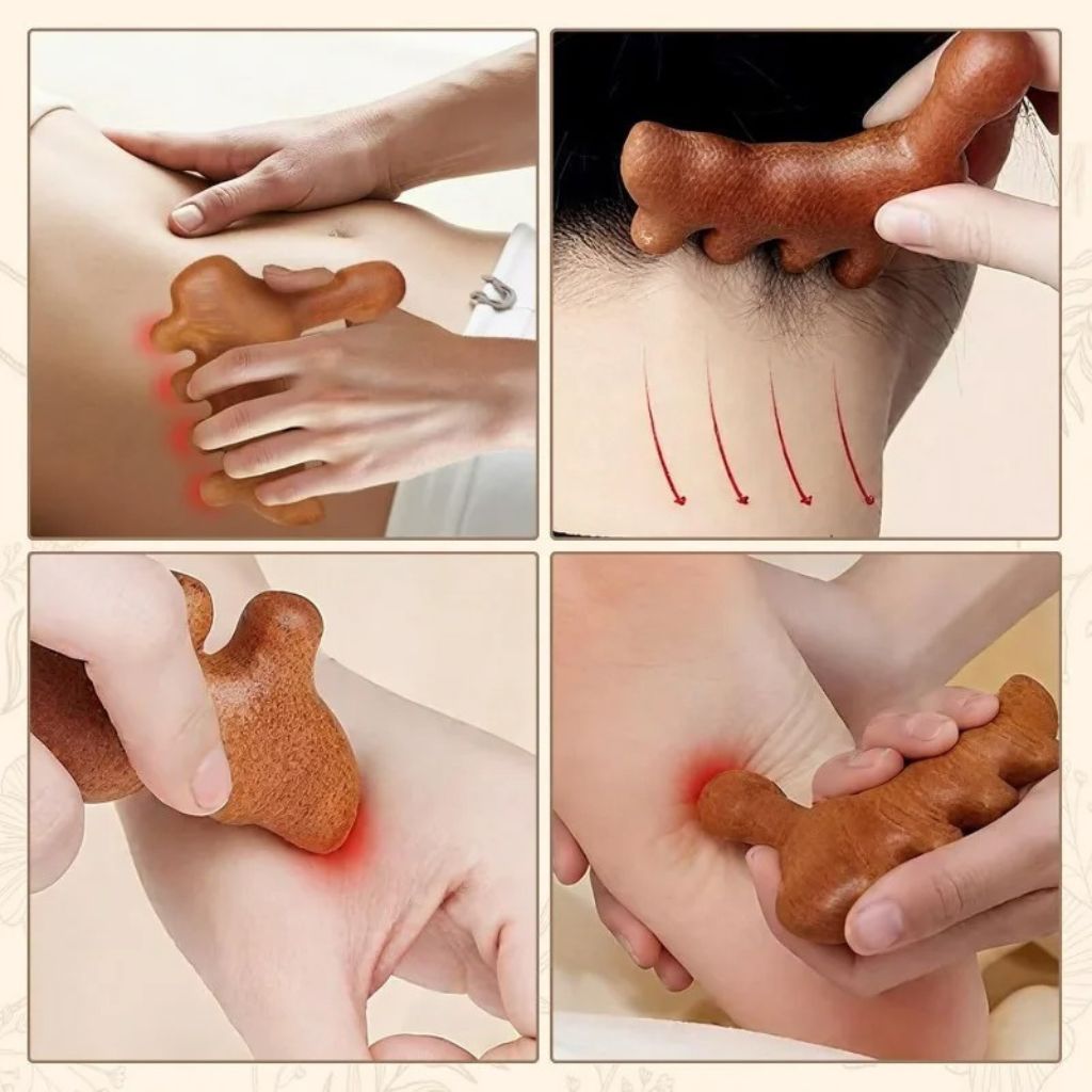 Quatre vignettes montrant l'outil Gua Sha en bois utilisé sur l'abdomen, la nuque, l'avant-bras et la voûte plantaire